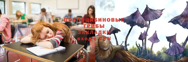 apvp Армянск