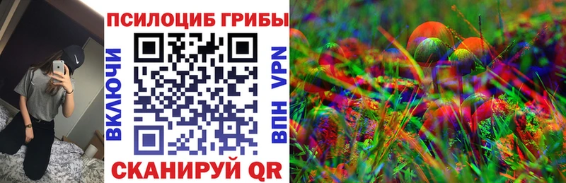 купить наркотики цена  Фокино  Псилоцибиновые грибы Psilocybe 