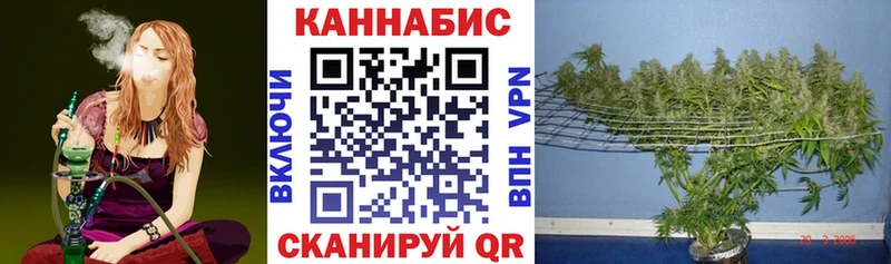 купить   shop наркотические препараты  Конопля LSD WEED  Фокино 